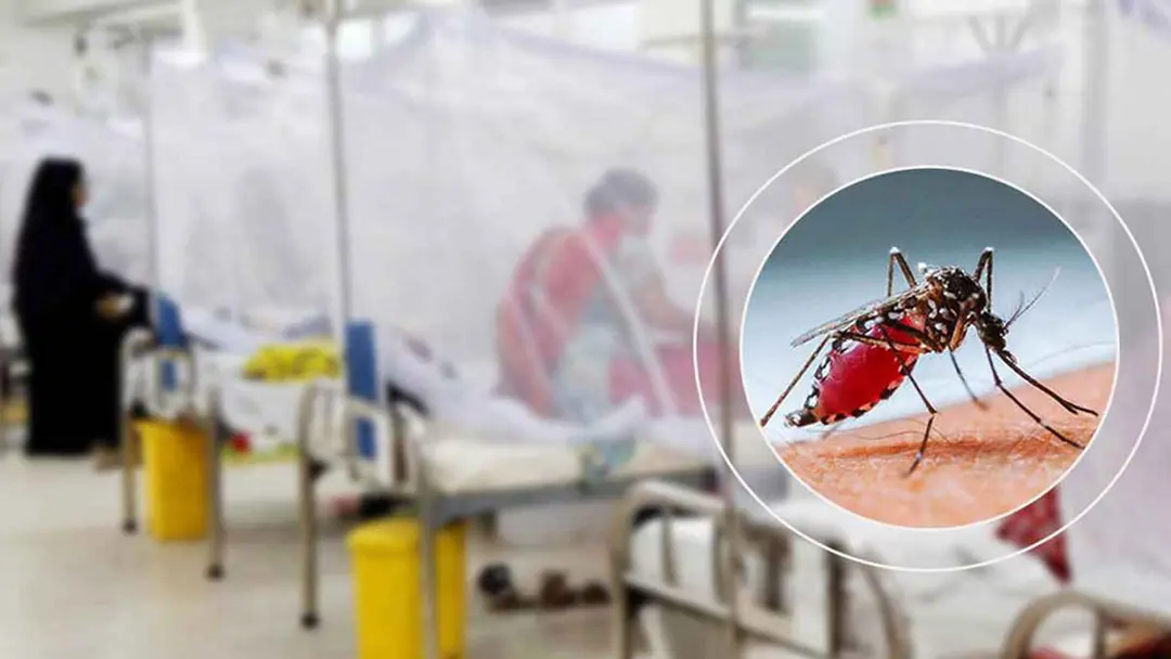 ২৪ ঘন্টায় ডেঙ্গুতে আক্রান্ত হয়ে হাসপাতালে ভর্তি ৪৪ জন